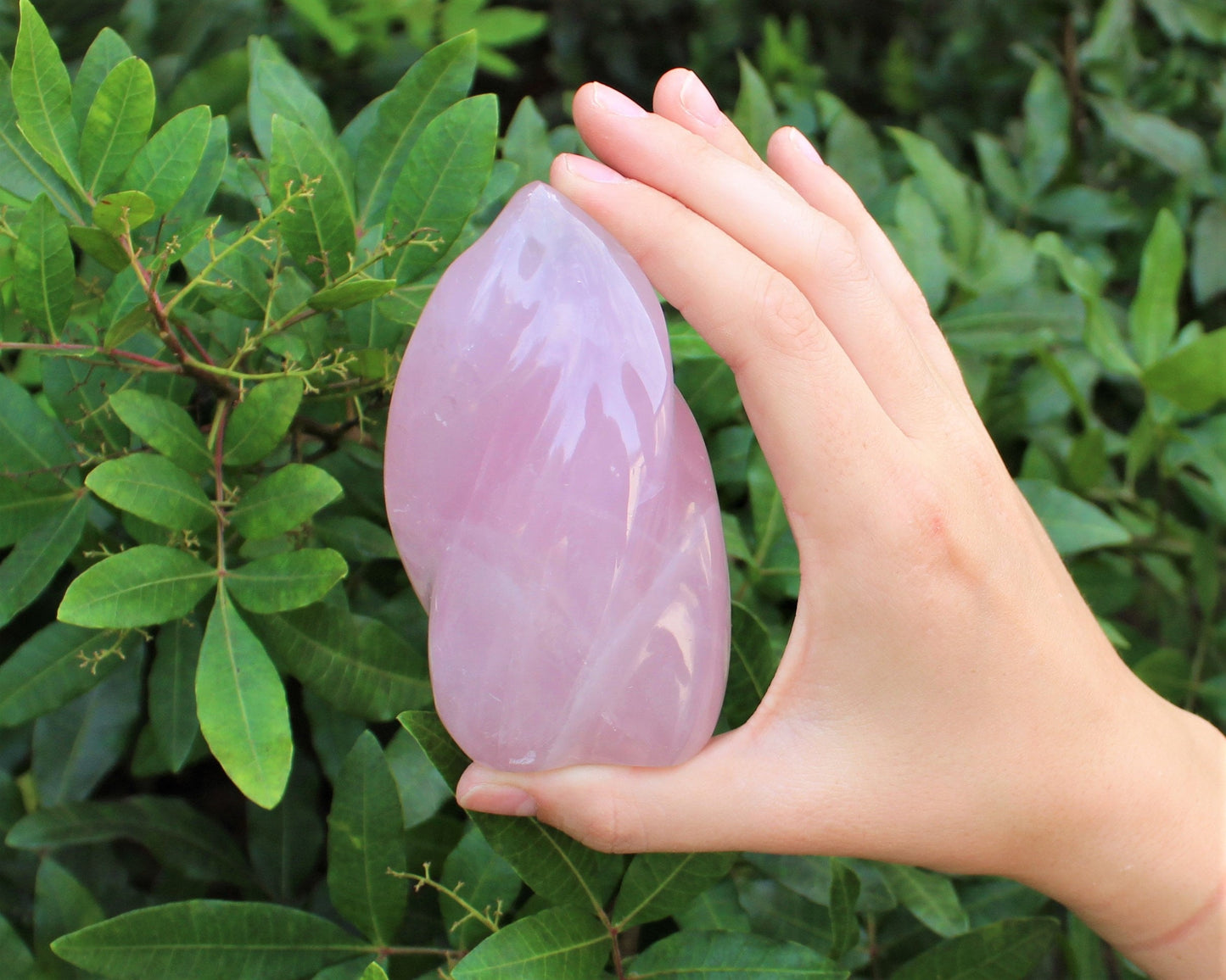 Standing Polished Rose Quartz Flame