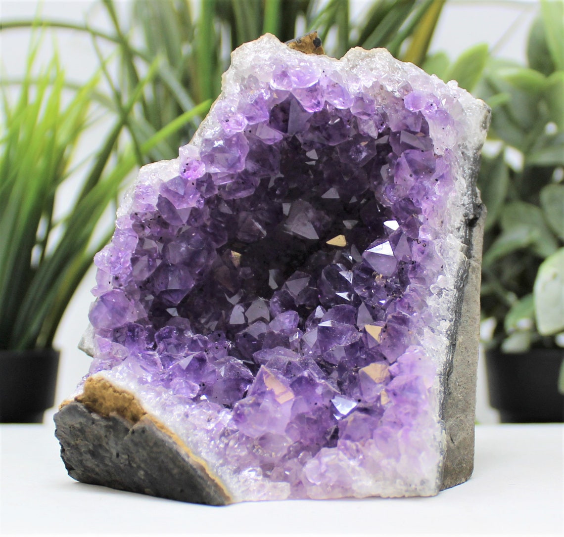 Stunning Amethyst Base Clusters
