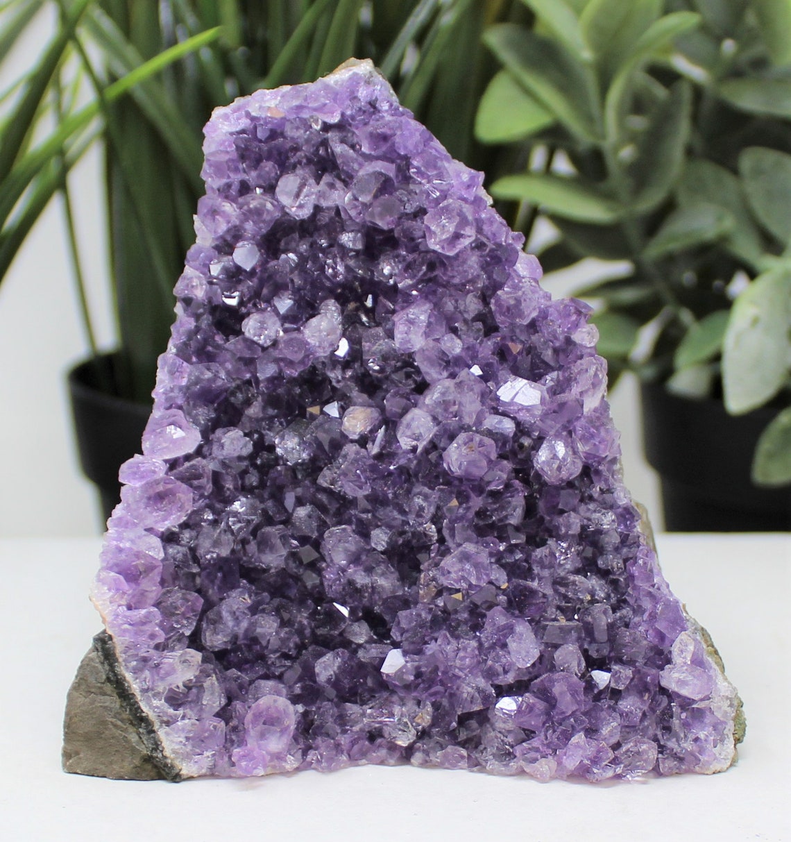 Stunning Amethyst Base Clusters