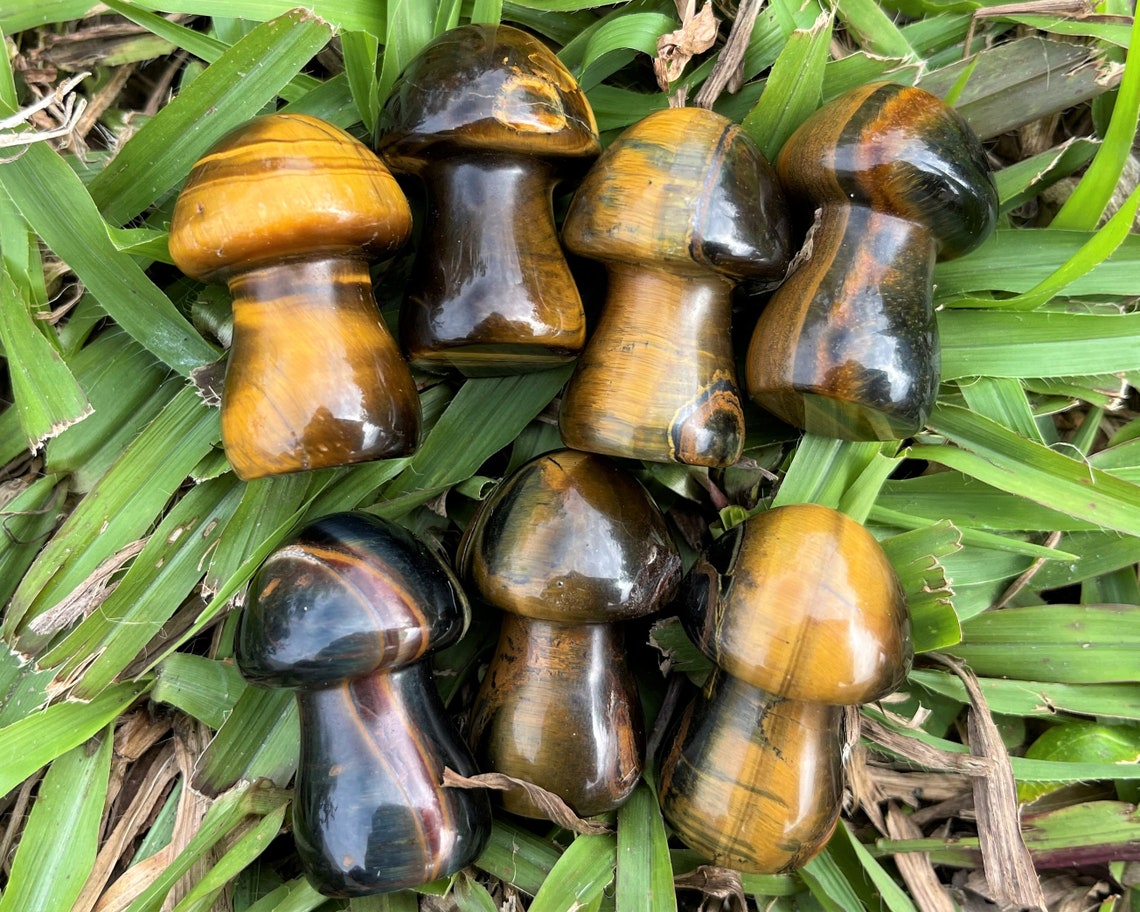 Tiger Crystal Mushrooms