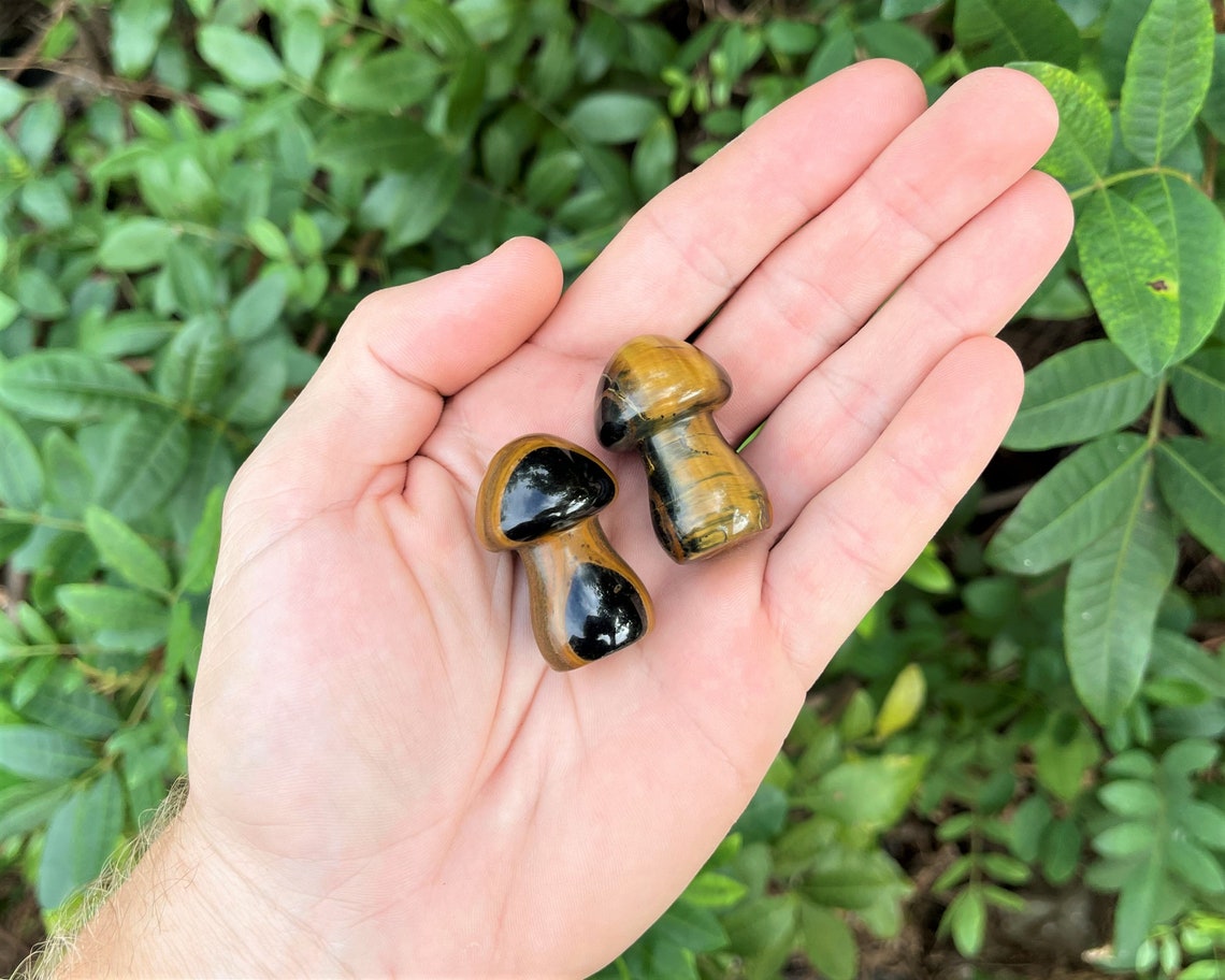 Tiger Crystal Mushrooms