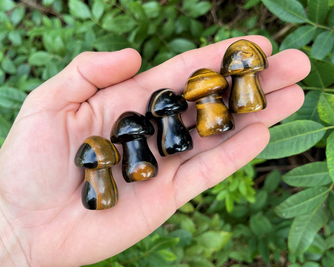 Tiger Crystal Mushrooms