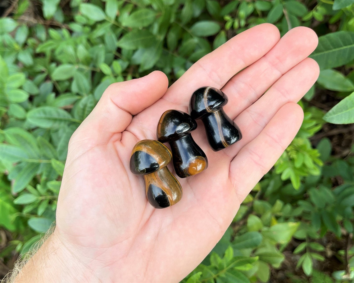 Tiger Crystal Mushrooms