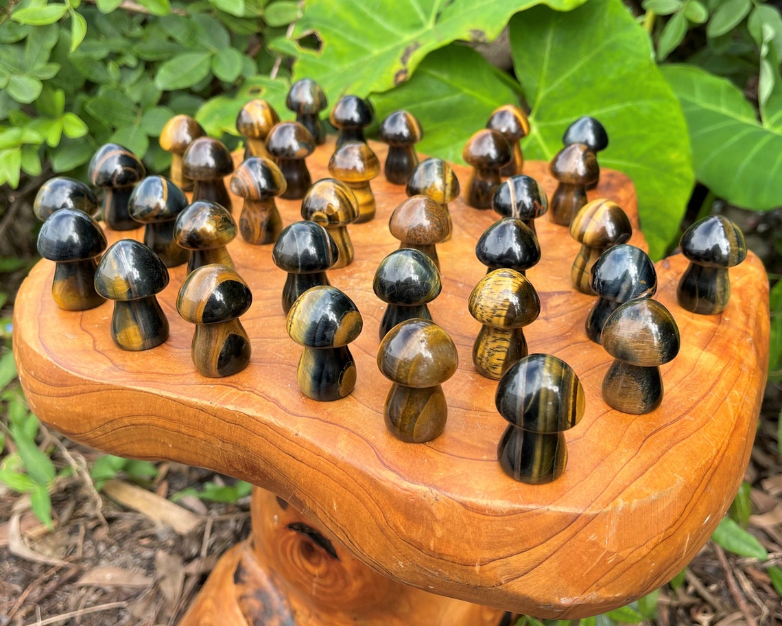 Tiger Crystal Mushrooms