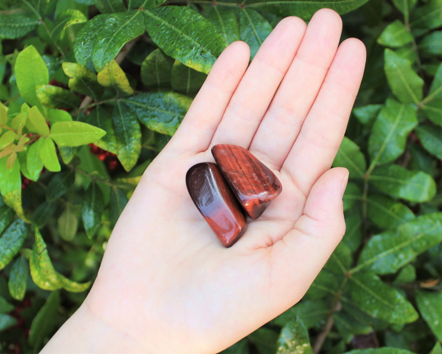 Tige Tumbled Stone