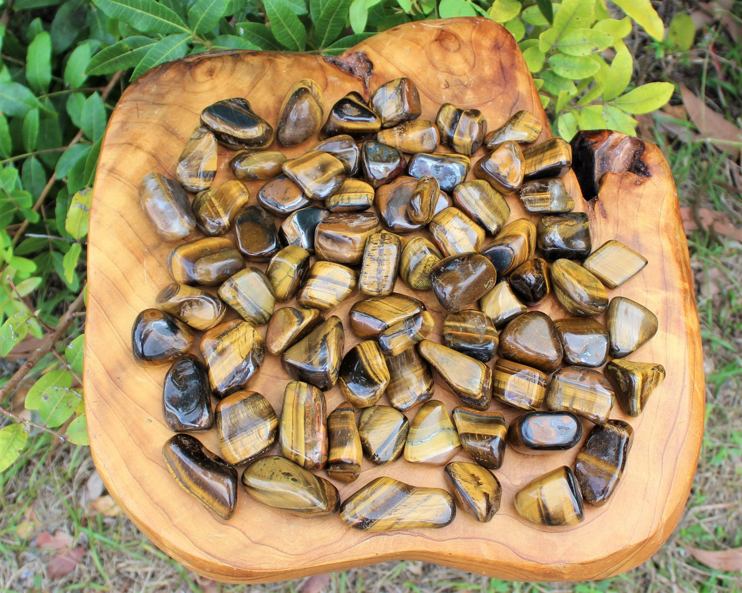Tiger Tumbled Stones