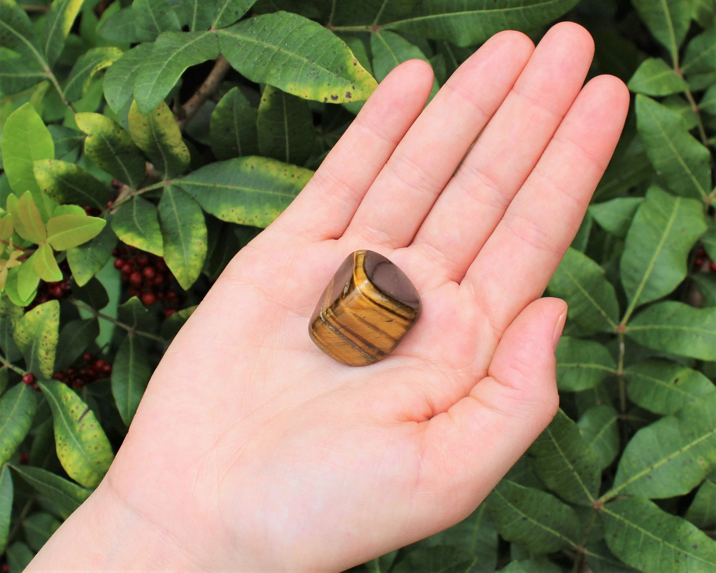 Tiger Tumbled Stones