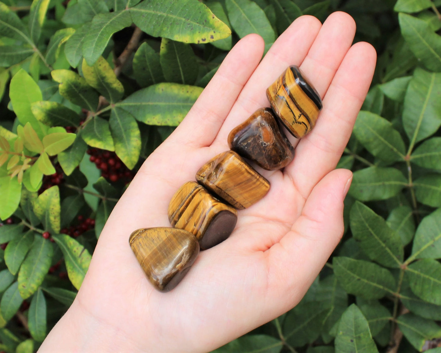 Tiger Tumbled Stones