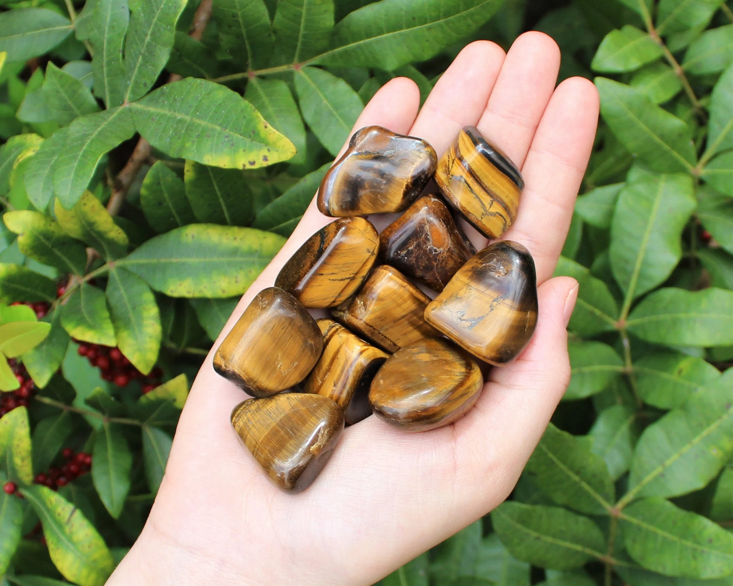 Tiger Tumbled Stones