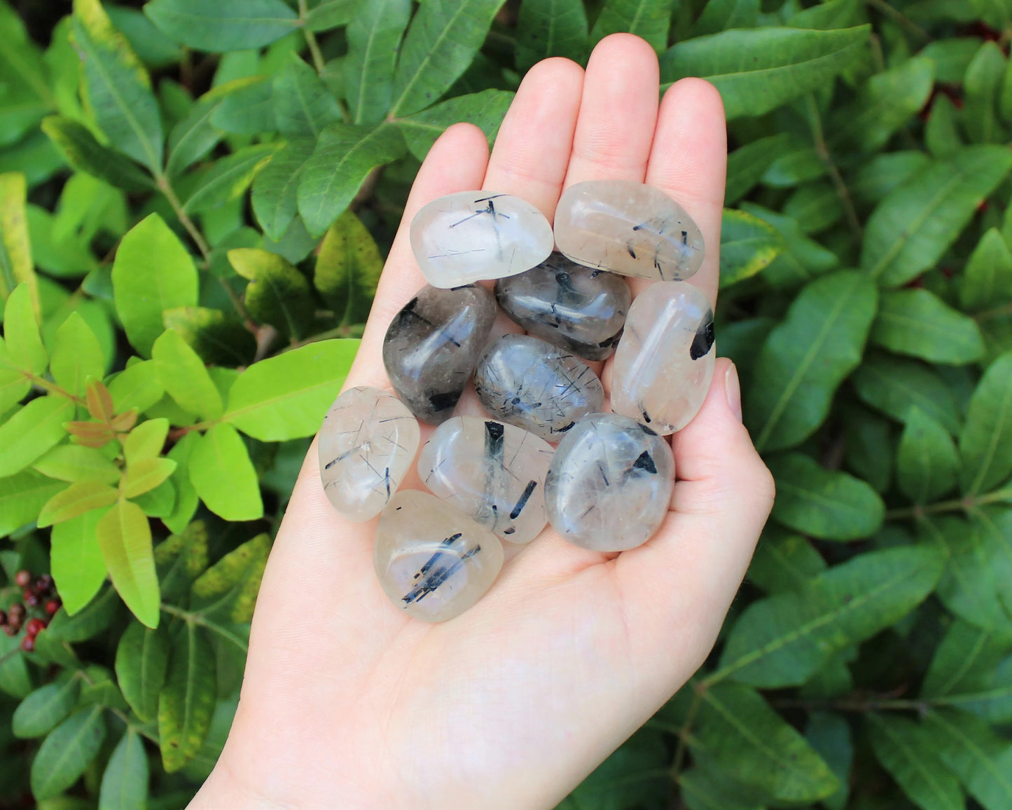 Tourmalinated Quartz Tumbled Stones