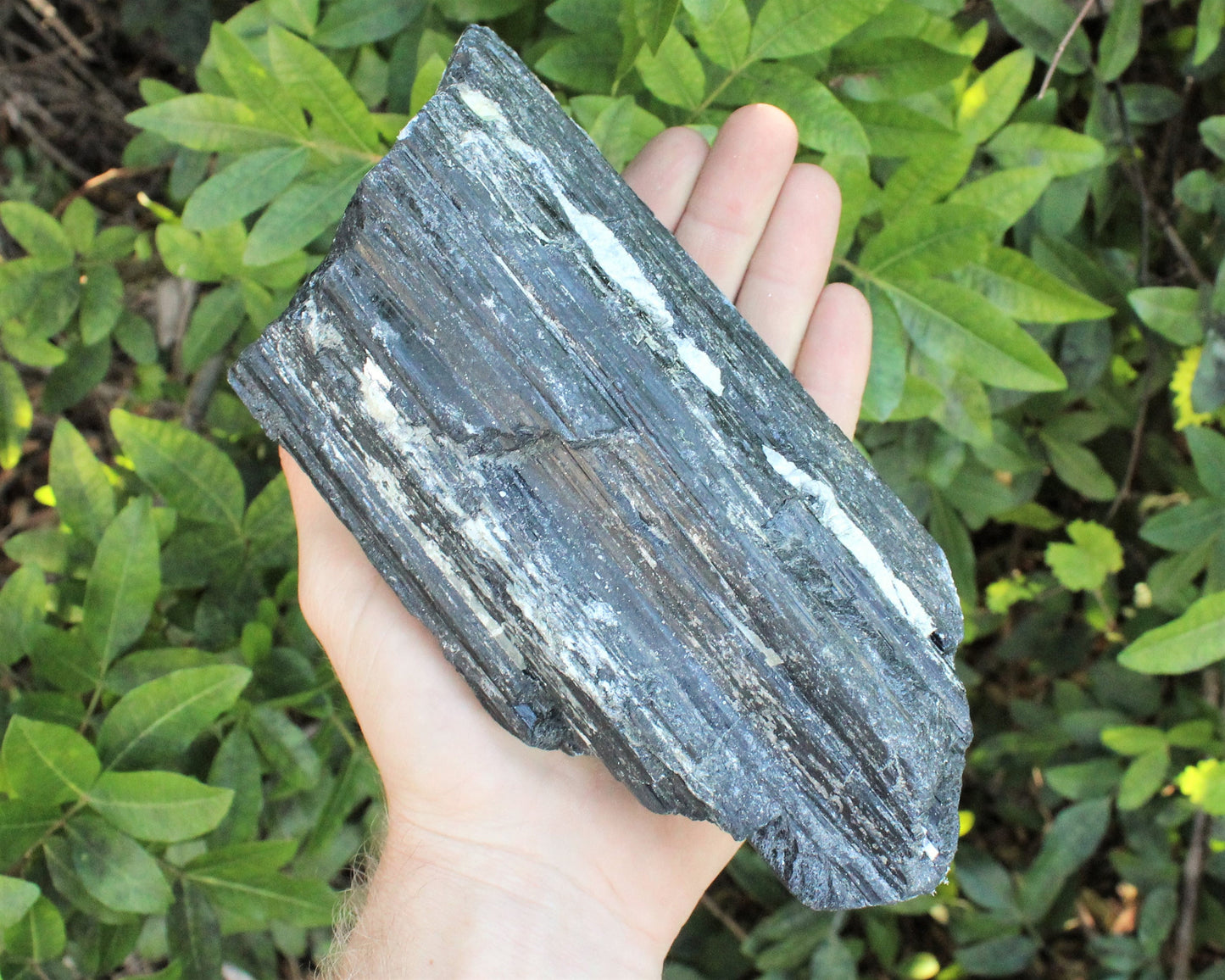 Tourmaline Rod Specimens Clearance Stone