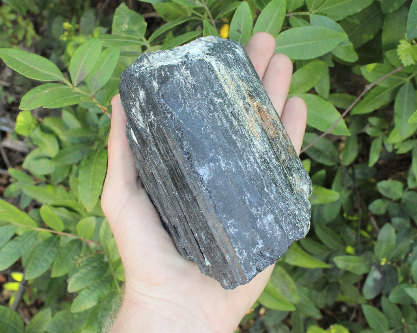 Tourmaline Rod Specimens Clearance Stone