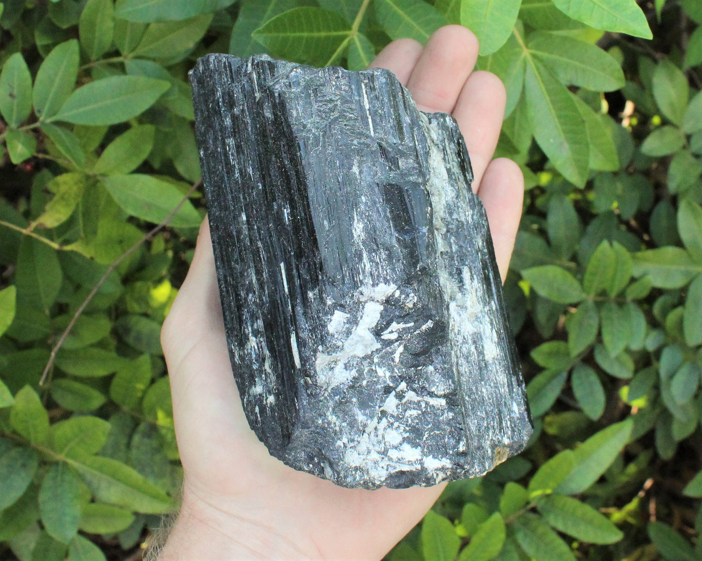 Tourmaline Rod Specimens Clearance Stone