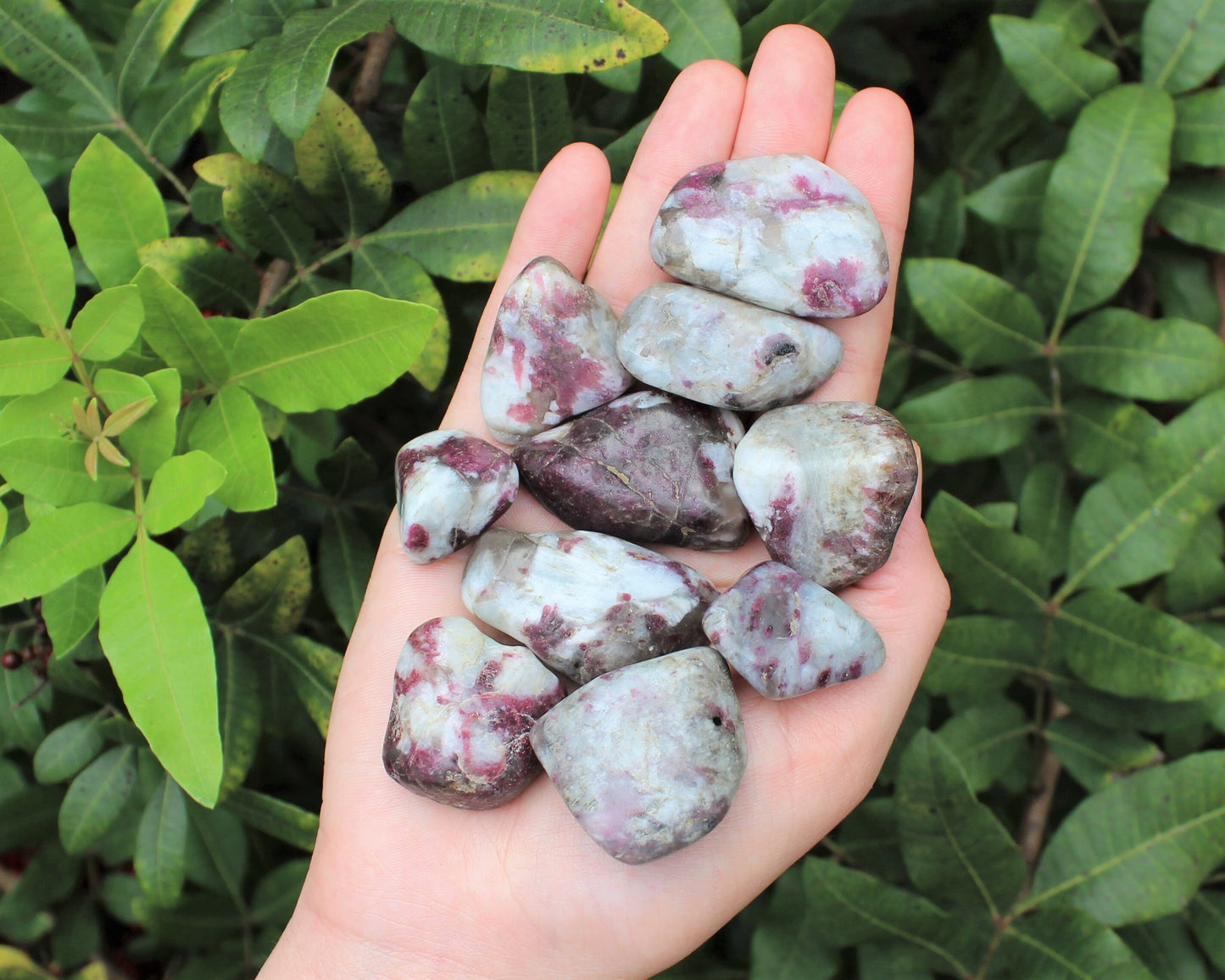 Tourmaline Tumbled Stones