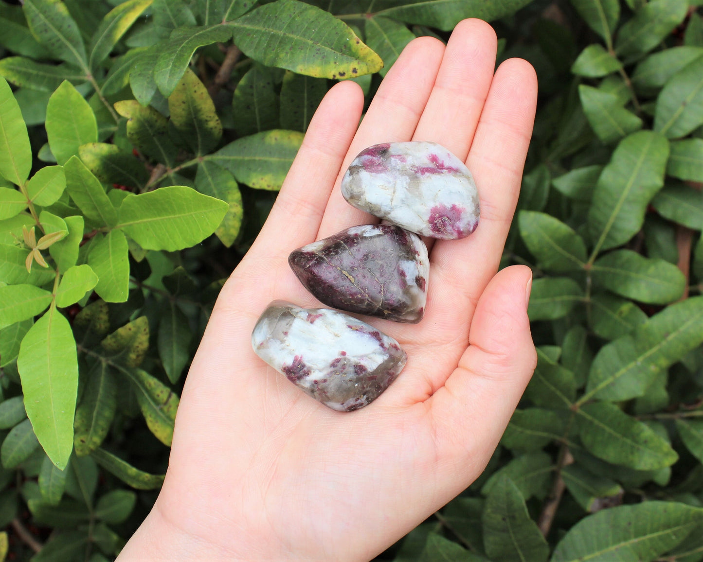 Tourmaline Tumbled Stones
