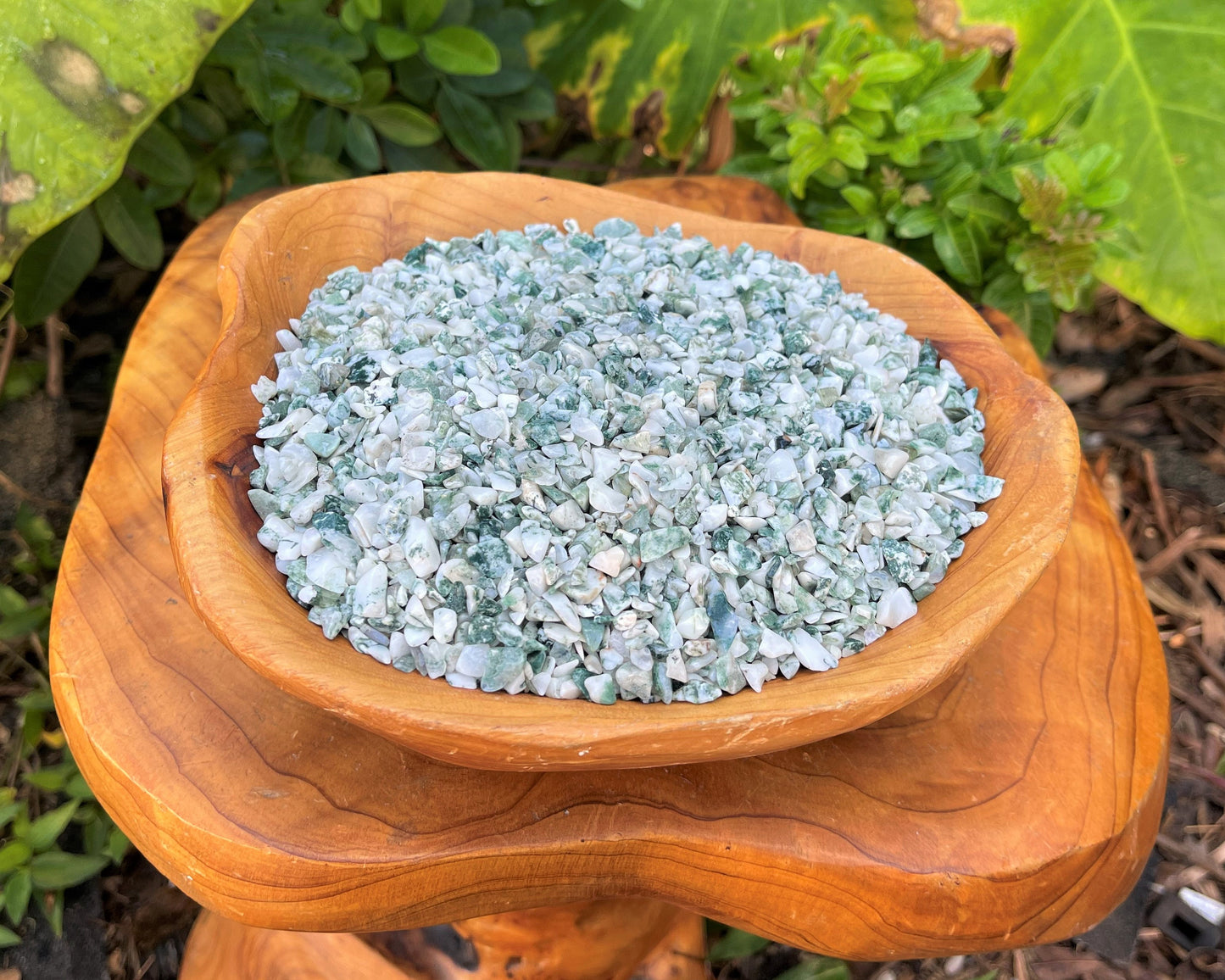 Tree Agate Semi Tumbled Gemstone Mini Chips