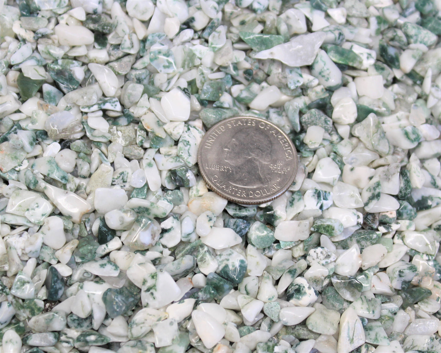 Tree Agate Semi Tumbled Gemstone Mini Chips