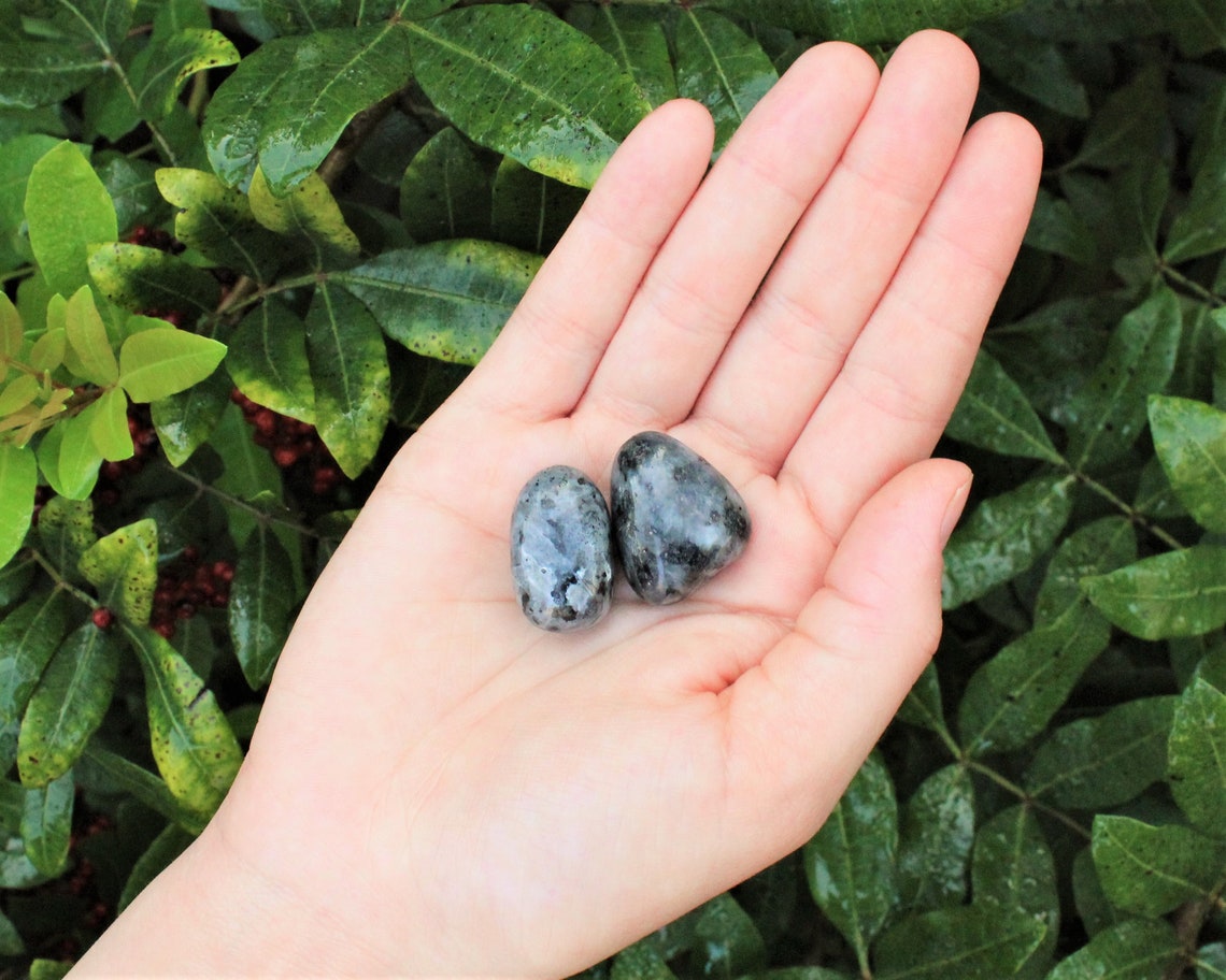Tumbled Larvikite Stones