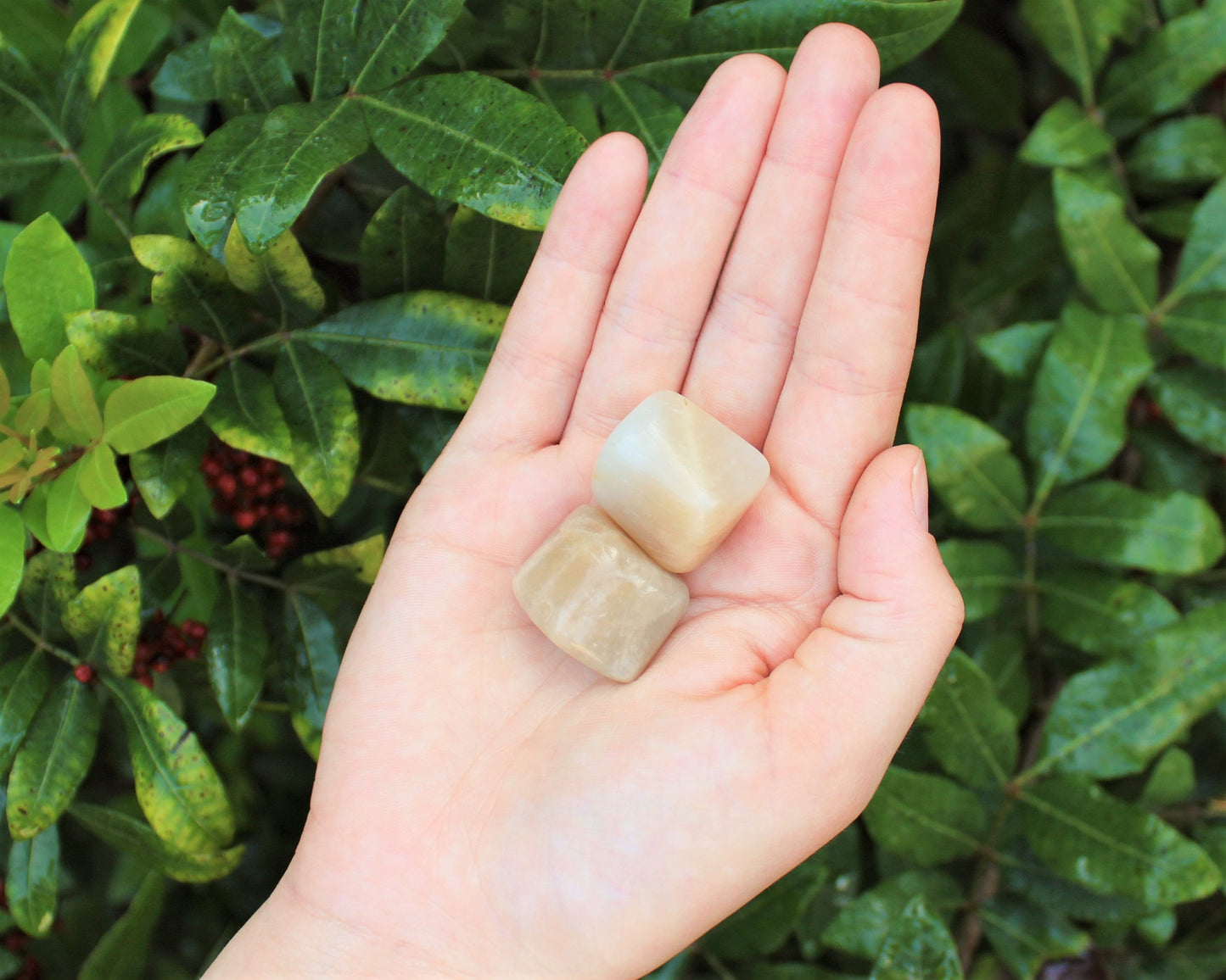 Tumbled Moonstone Stones
