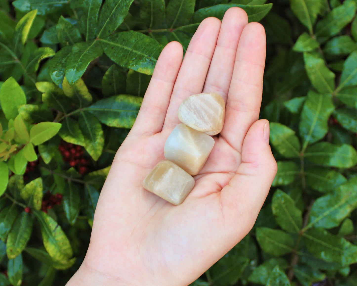 Tumbled Moonstone Stones