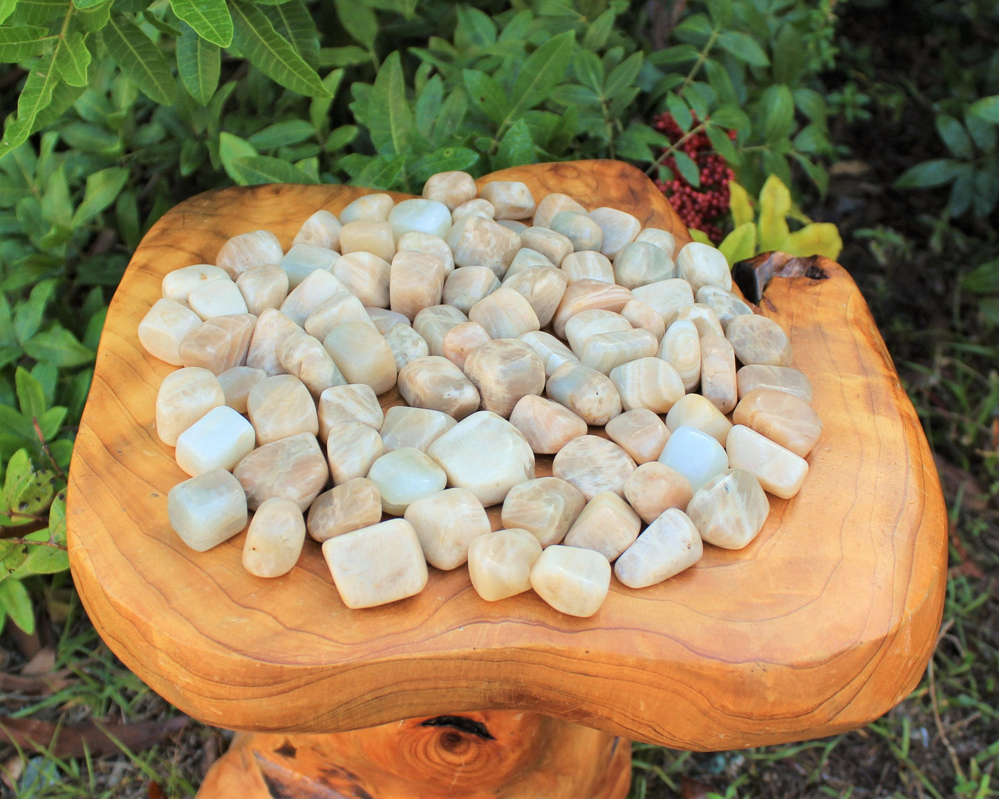 Tumbled Moonstone Stones