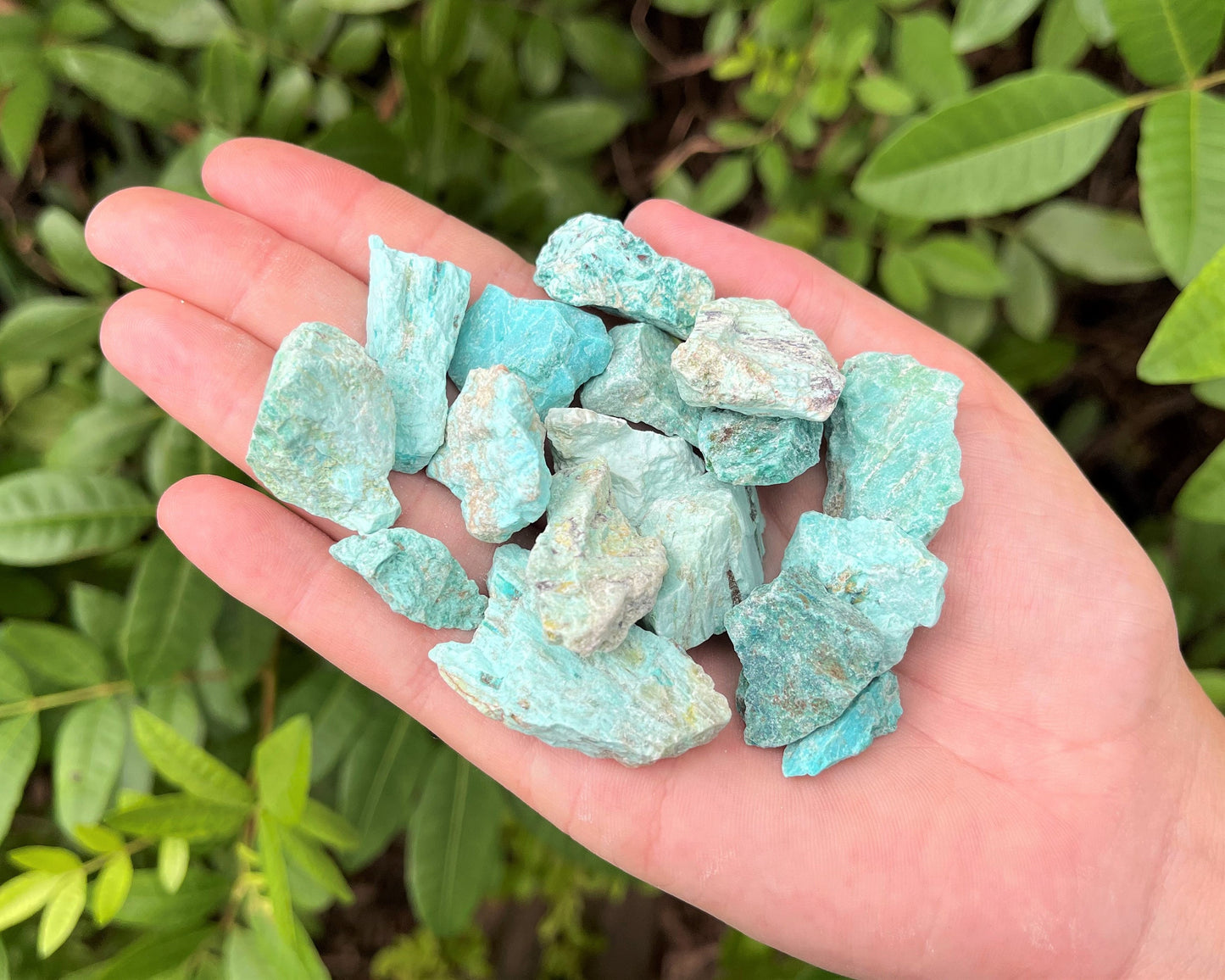 Rough Natural Chips