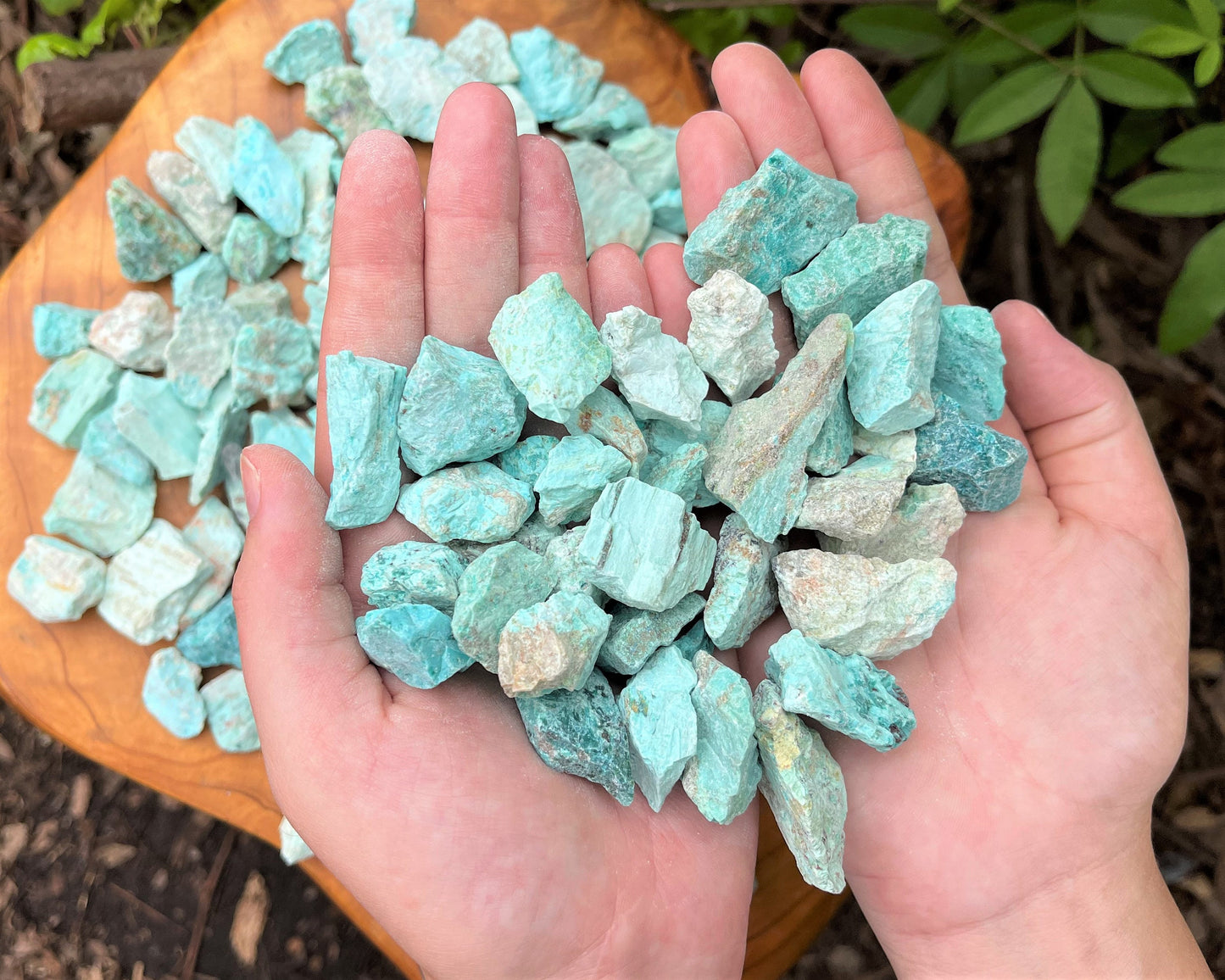 Rough Natural Chips