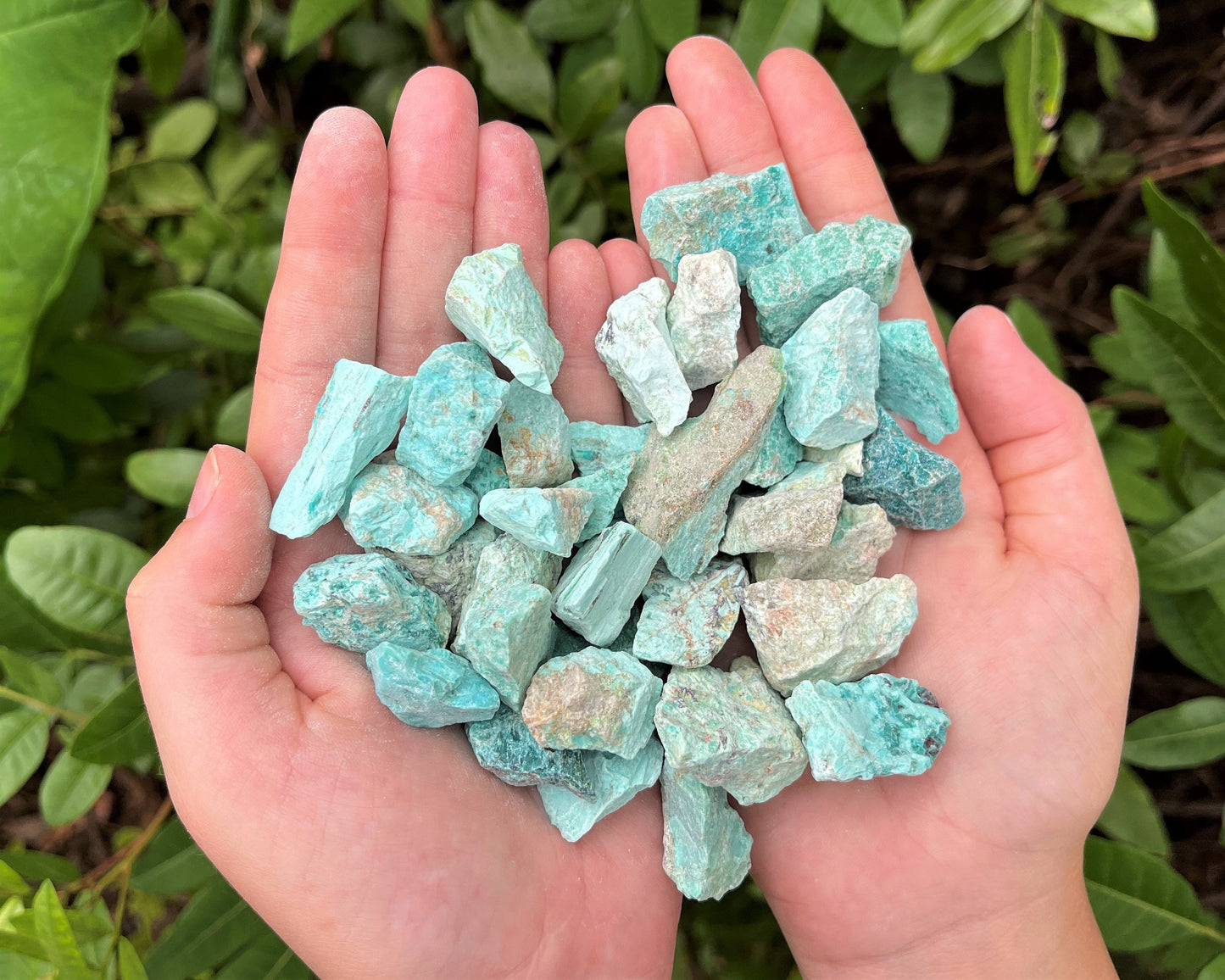 Rough Natural Chips