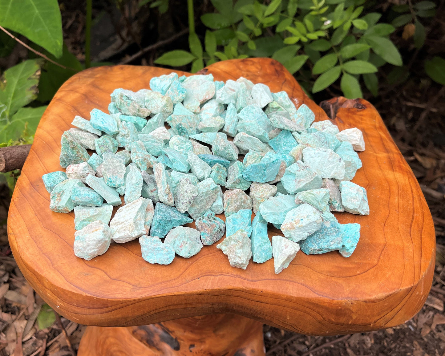 Rough Natural Chips