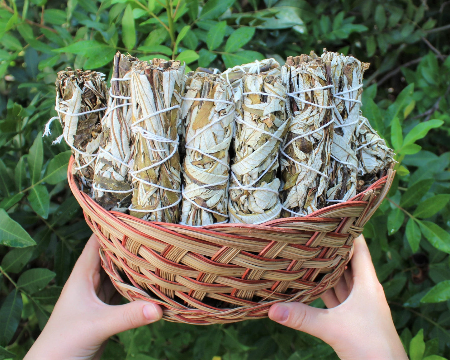 Two Sage Smudge Sticks Sampler