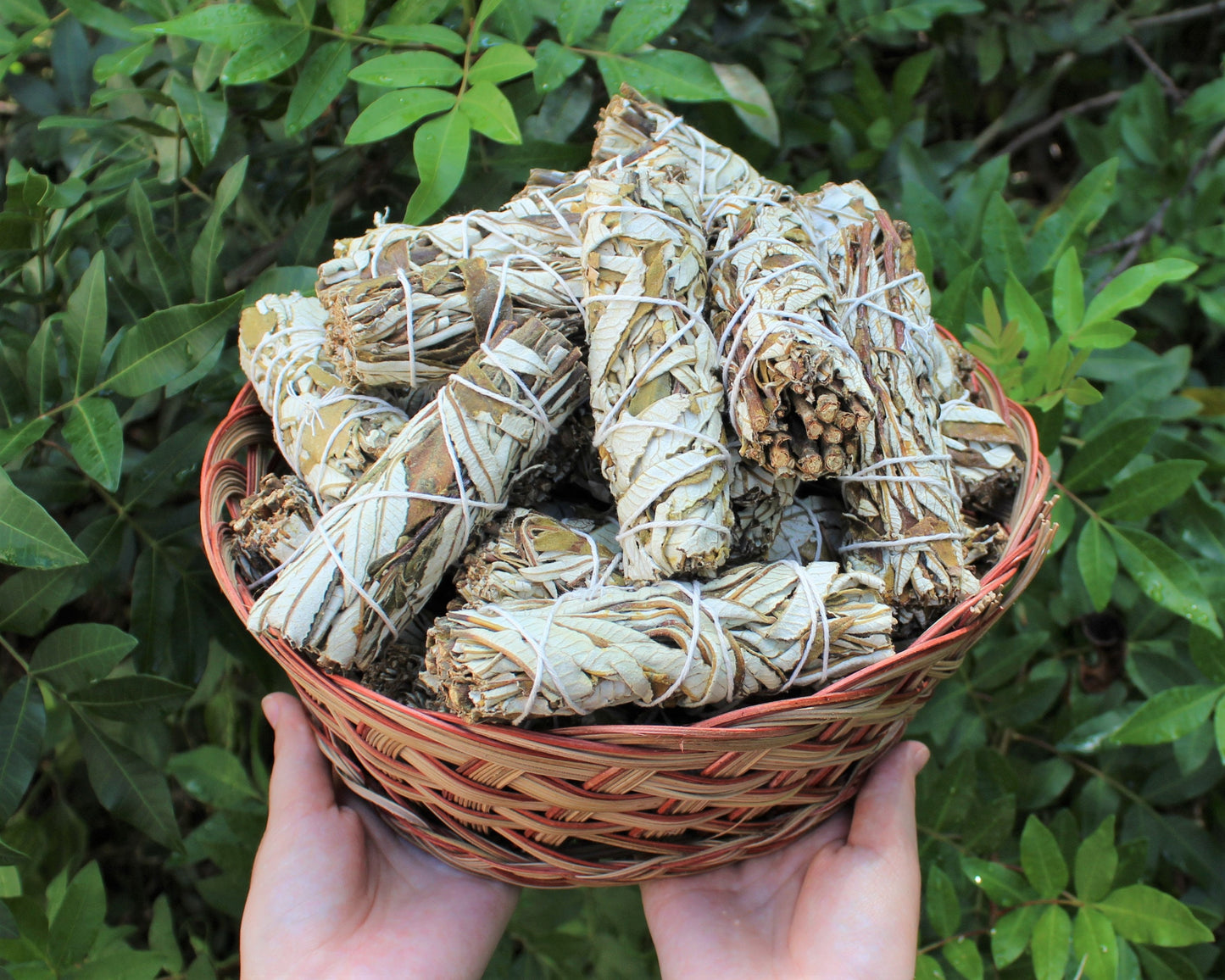 Two Sage Smudge Sticks Sampler