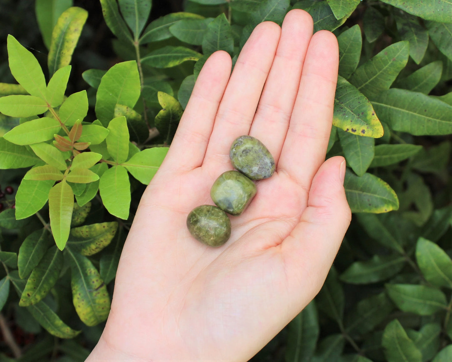 Vesuvianite Tumbled Stones