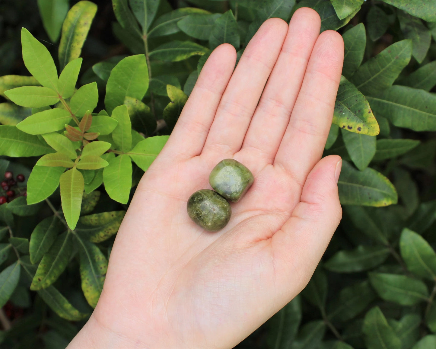 Vesuvianite Tumbled Stones