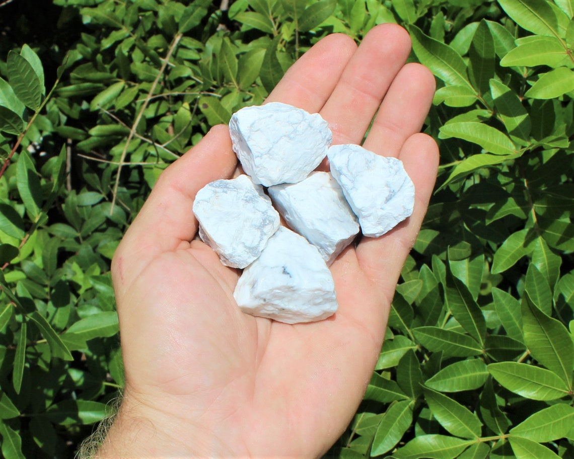 Elegant Howlite Rough Natural Stones