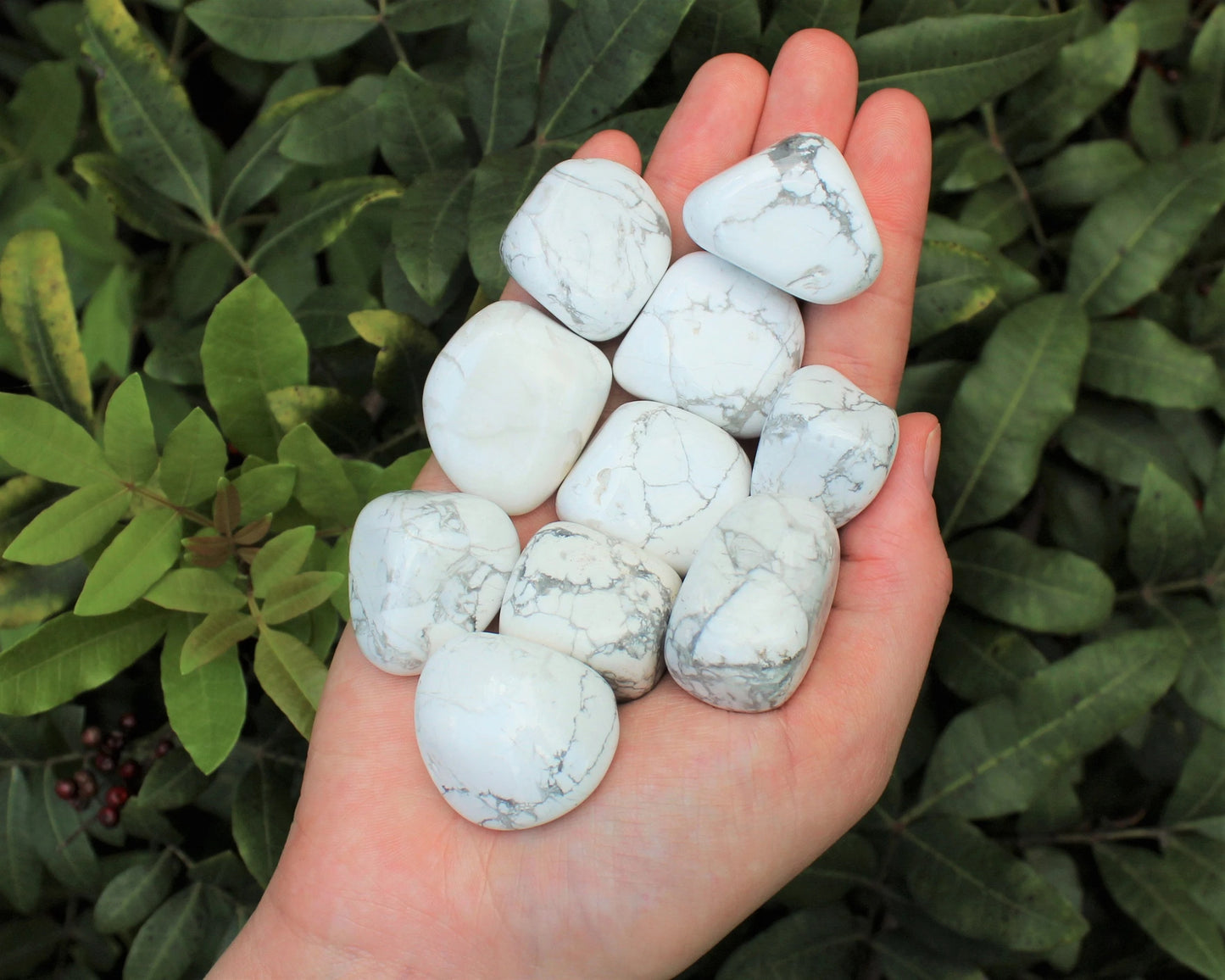 Howlite Tumbled Stones
