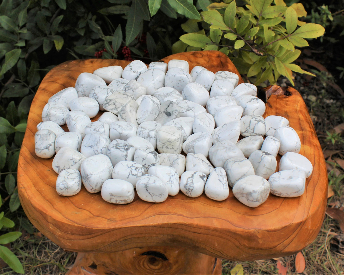 Howlite Tumbled Stones