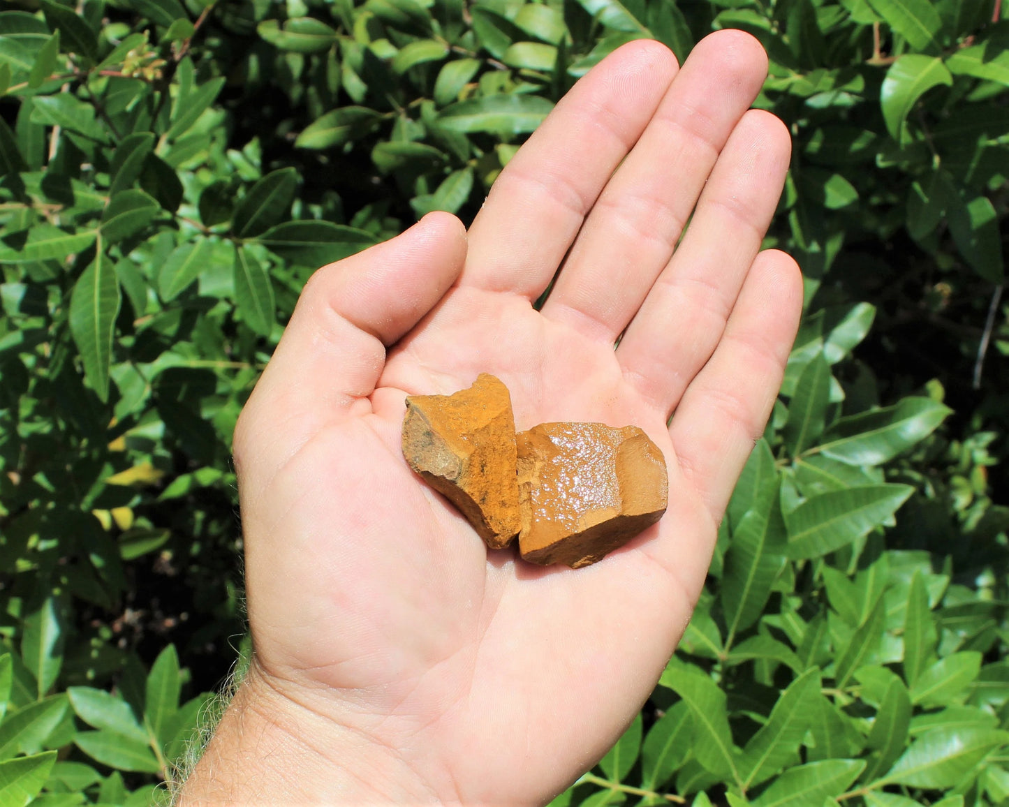 Jasper Rough Natural Stones