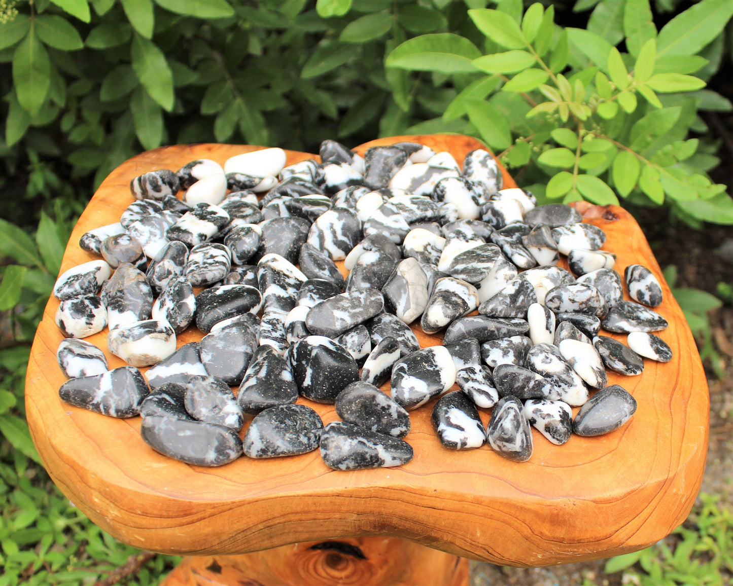 Zebra Marble Agate Tumbled Stones