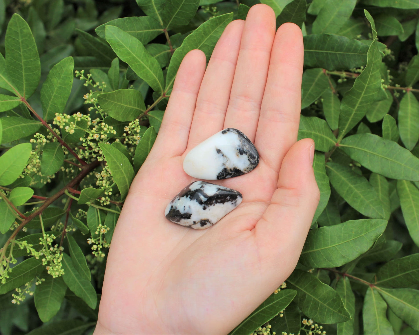 Zebra Marble Agate Tumbled Stones