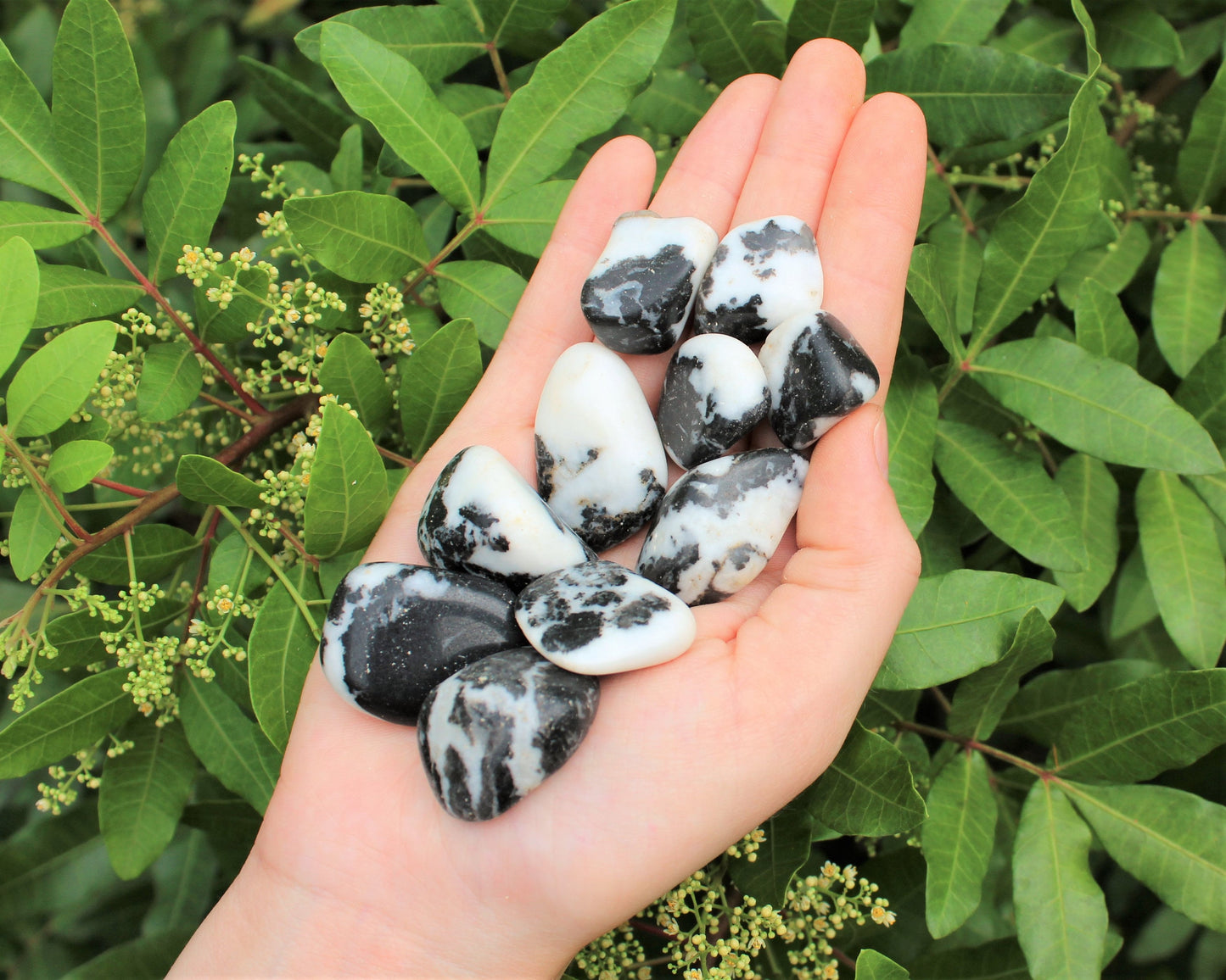 Zebra Marble Agate Tumbled Stones