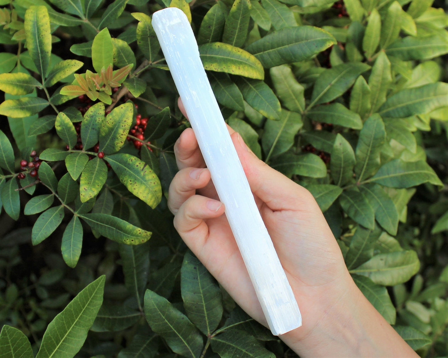 10 Pieces Of Large Selenite Sticks