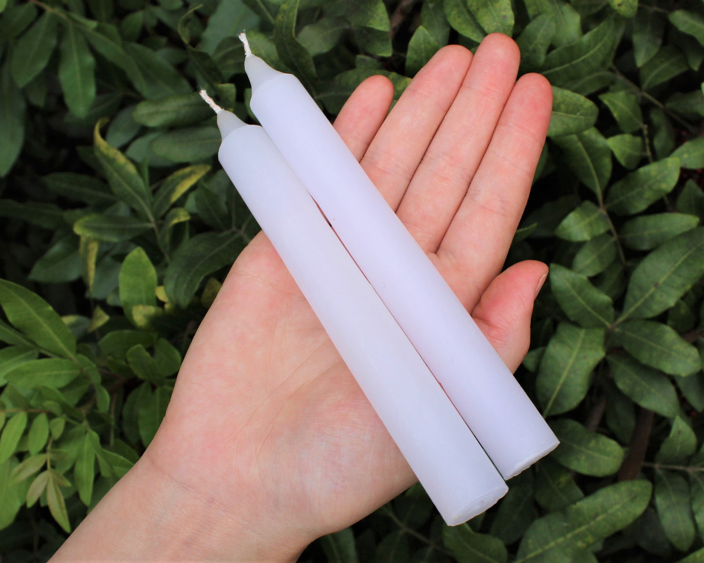 Taper Paraffin Candles