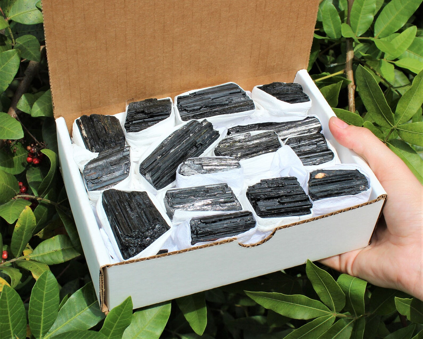 Rough Tourmaline Logs Box