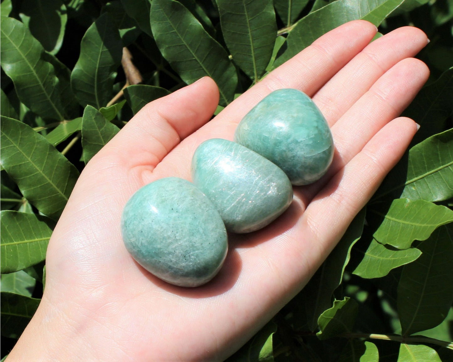 Amazonite Polished Stones