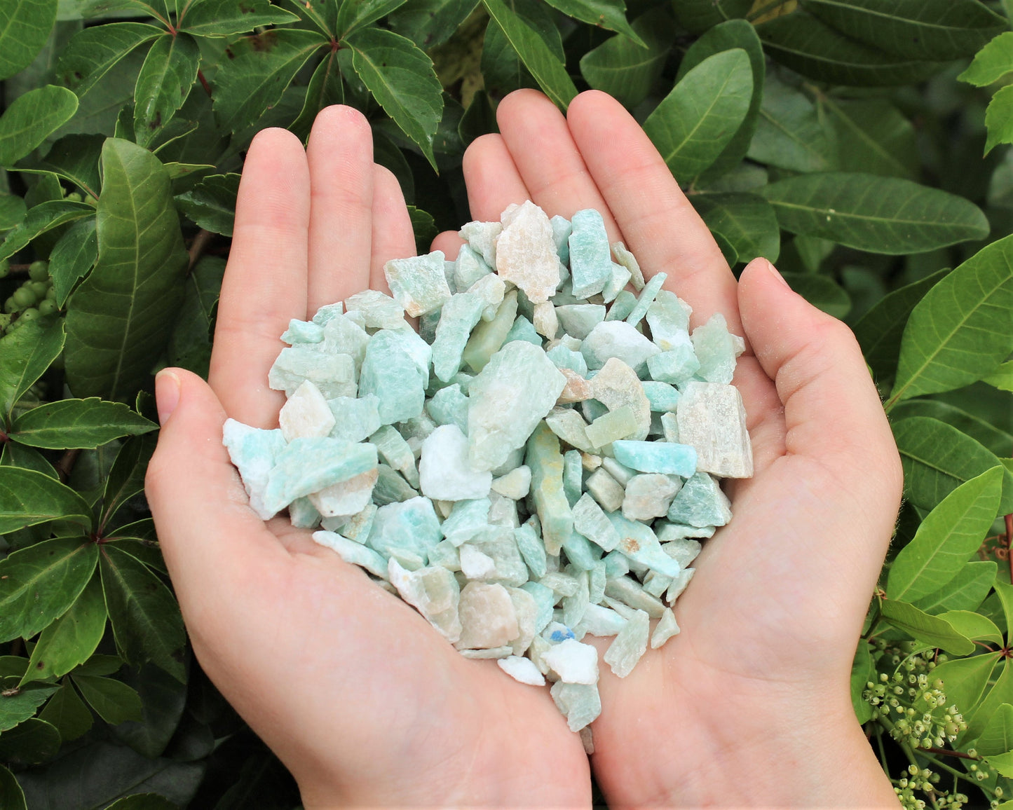 Amazonite Rough Natural Crystal Chips