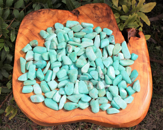 Amazonite Tumbled Stones