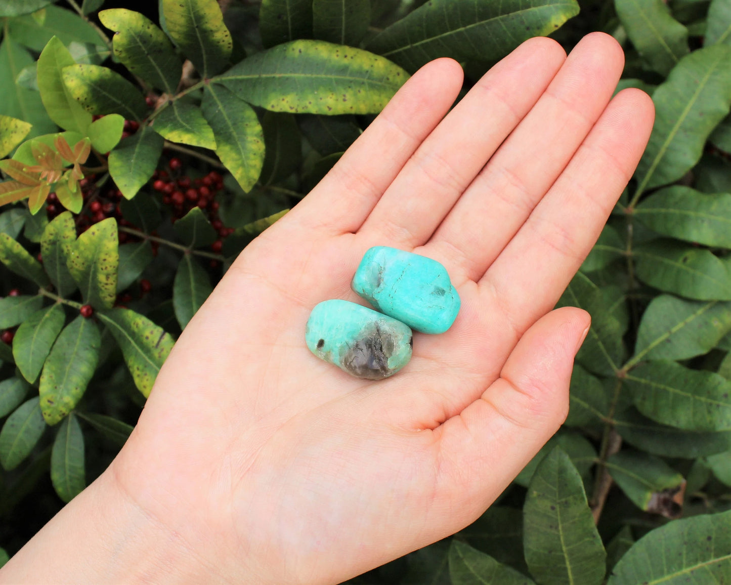 Amazonite Tumbled Stones