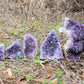 Amethyst Crystal Clusters