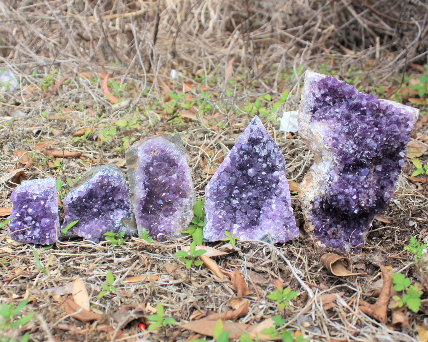 Amethyst Crystal Clusters