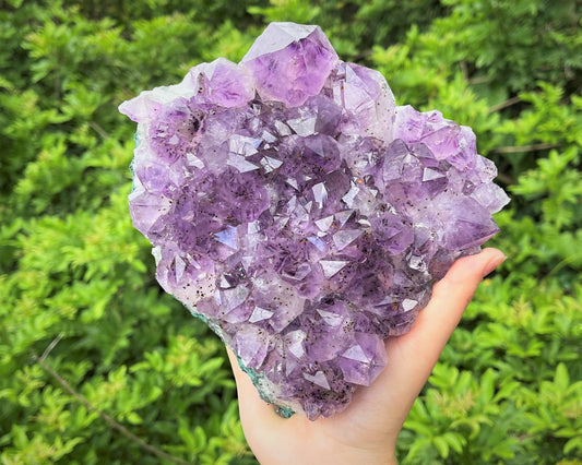 Amethyst Druze Clusters